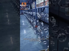 서식용 컨베이어 시스템